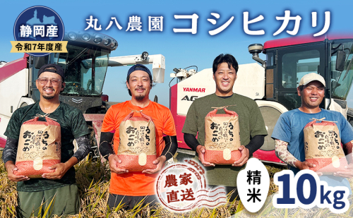 お米 令和7年度産静岡産コシヒカリ精米 10kg 米 コメ こしひかり コシヒカリ 精米 白米 袋井市 静岡県 2380441 - 静岡県袋井市