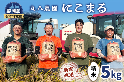 お米 令和7年度産静岡産にこまる精米5kg 米 コメ にこまる 精米 白米 袋井市 静岡県 2380442 - 静岡県袋井市