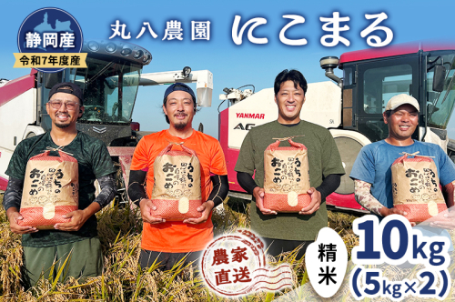 お米 令和7年度産静岡産にこまる精米5kg×2 米 コメ にこまる 精米 白米 袋井市 静岡県 2380443 - 静岡県袋井市