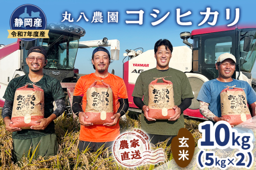 お米 令和7年度産静岡産コシヒカリ玄米5kg×2 米 コメ こしひかり コシヒカリ 玄米 袋井市 静岡県 2380444 - 静岡県袋井市