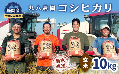 お米 令和7年度産静岡産コシヒカリ玄米 10kg 米 コメ こしひかり コシヒカリ 玄米 袋井市 静岡県 2380444 - 静岡県袋井市
