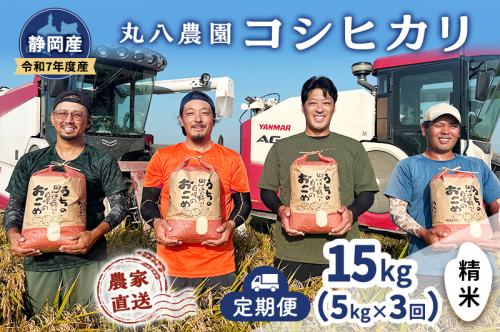 お米 （定期便3回）令和7年度産静岡県産コシヒカリ精米5kg×3 計15kg 米 コメ こしひかり コシヒカリ 精米 白米 定期便 袋井市 静岡県 2380447 - 静岡県袋井市