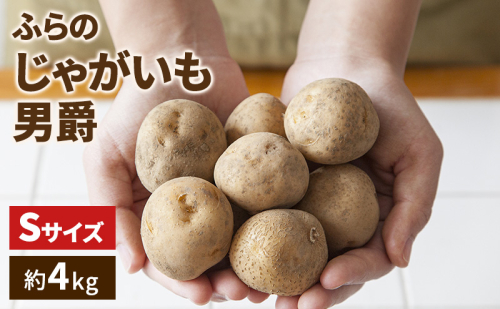 【2025年発送】ふらの じゃがいも（品種：男爵）約4kg 小粒 Sサイズ ( 北海道 富良野市 野菜 新鮮 直送 じゃがいも 男爵 道産 ふらの 送料無料 数量限定 ) 2380545 - 北海道富良野市
