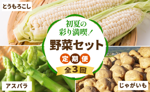 【2026年春～秋発送】定期便 3ヵ月 初夏の彩り満喫 野菜セット 全3回 （ 野菜 新鮮 直送 アスパラ とうもろこし じゃがいも 男爵 道産 ふらの 送料無料 数量限定 北海道 富良野市 ） 2380546 - 北海道富良野市