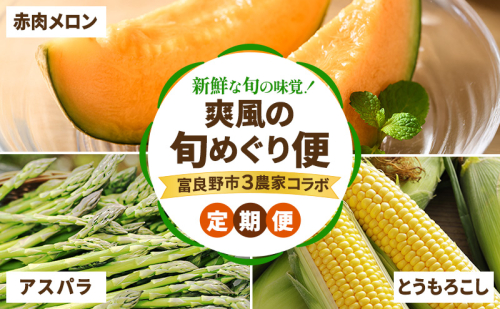【2026年春～夏発送】[年3回定期便] 新鮮な旬の味覚 爽風の旬めぐり便 3農家コラボ 定期便 (アスパラガス 赤肉メロン とうもろこし 北海道 富良野市 野菜 果物 フルーツ 中山農園 NORTH FUN 富良野青果センター ) 2380547 - 北海道富良野市