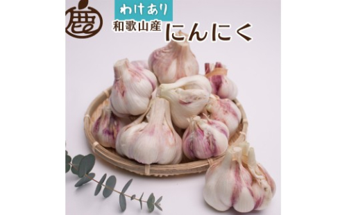 ＜5月より発送＞ 家庭用 生にんにく 500g 2380663 - 和歌山県美浜町