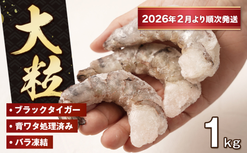 至福の大粒むきえび　背ワタ処理済 1kg【2026年2月より順次発送】　ブラックタイガー 冷凍 ムキエビ  大型 海老 2380920 - 兵庫県淡路市