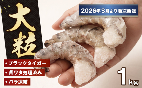 至福の大粒むきえび　背ワタ処理済 1kg【2026年3月より順次発送】　ブラックタイガー 冷凍 ムキエビ  大型 海老 2380923 - 兵庫県淡路市