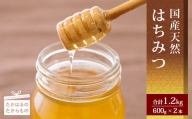 高原町産天然はちみつ 1.2kg(600g×2本)  国産のおいしい蜂蜜2個セット