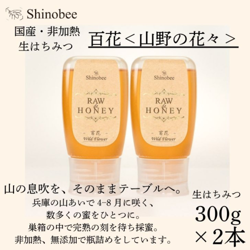 AS19　国産・非加熱 生はちみつ　2本セット 600g（300g×2本）　百花〈山野の花々〉【 国産 非加熱 蜂蜜 ハチミツ 生はちみつ はちみつ ハニー 百花 百花蜜 兵庫県 宍粟市 】  2382066 - 兵庫県宍粟市