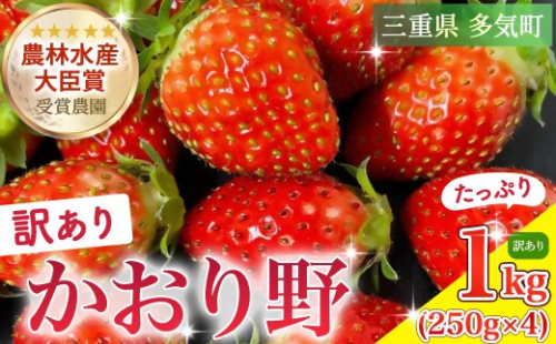 （大粒）農林水産大臣賞受賞農園からお届けする　訳アリ　かおり野　1kg（250ｇ×4Ｐ）/いちご　ISH-01 2382211 - 三重県多気町
