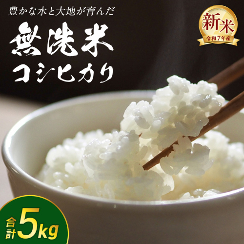 【 無洗米 】令和7年産 新米 コシヒカリ 5kg 茨城県つくばみらい市産 時短 手軽 粘り 甘み 茨城 こしひかり 令和7年 [FF01-NT] 2382309 - 茨城県つくばみらい市