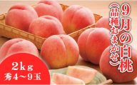 08-01-191 9月の白桃 2kg