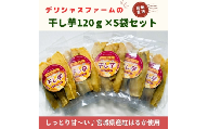 デリシャスファームの干し芋120ｇ×5袋セット【delf001】