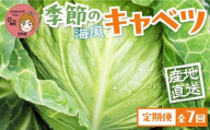旬のキャベツ 2玉 愛知県豊橋産 海風そだち 潮風 ともちゃんのやさい 7回お届け 直売所で大人気! 愛知県 豊橋市 安心野菜 国産 冬キャベツ 春キャベツ 初夏キャベツ