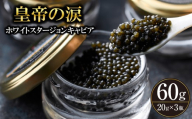 【純国産キャビア】ホワイトスタージョンキャビア 60g 皇帝の涙 国産 チョウザメ 魚卵 宮崎県 宮崎 小林市