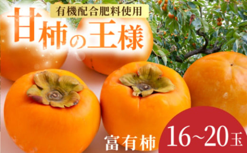 【先行予約】有機配合肥料使用 富有柿 16玉から20玉 2025年11月上旬から11月下旬 出荷予定【春光園】 柿 かき 甘柿 甘い 果物 フルーツ 238325 - 福岡県うきは市