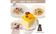 ＜ホクホクかぼちゃのケーキセット＞犬用ケーキ・ごはん 無添加 手作り Idea dog chef【1660615】