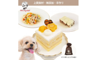 ＜マンゴーのショートケーキセット＞犬のケーキ・ごはん 無添加 手作り Idea dog chef【1660625】
