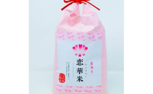 【玄米】養蜂場のレンゲ草で減農薬栽培。恋実る「恋華米ロイヤル」2kg 238346 - 福岡県小郡市