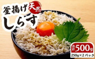 釜揚げしらす 250g 2パック 計 500g 国産 しらす シラス 魚 魚介 新鮮 釜揚げ かまあげ 釜あげしらす 冷凍 冷凍しらす 小分け パック 冷凍食品 個包装 美味しい 送料無料 さかな お中元 お歳暮 ギフト プレゼント 贈答用 おすすめ お祝い 父の日 母の日 しらす丼 ご自宅用 家庭用 お手軽 ストック 新鮮 お手軽 簡単 贈り物 鮮度 静岡県 牧之原市 坂口産業株式会社