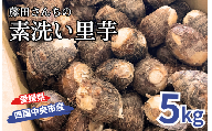 藤田さんちの素洗い里芋 (四国中央市産)5kg