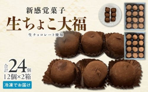 生ちょこ大福 12個入×2箱【ささもり 菓子 おかし 食品  贈り物 宮城県 人気 おすすめ 送料無料】 2383817 - 宮城県角田市