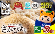 11月より順次発送[新米] 令和7年産 佐賀県産 さがびより 5kg 玄米[15年連続 特A評価]C-175