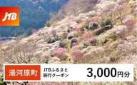 【湯河原町】JTBふるさと旅行クーポン（3,000円分）有効期間3年（Eメール発行）｜旅行 トラベル 予約 国内旅行 JTB 宿泊 観光 体験 旅行券 宿泊券 旅行予約 温泉 ホテル 旅館 チケット 子供 子連れ カップル 家族 人気 おすすめ 旅行クーポン 店頭 オンライン ネット予約 電話 有効期間3年