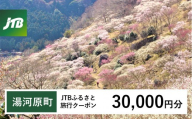 【湯河原町】JTBふるさと旅行クーポン（30,000円分）有効期間3年（Eメール発行）｜旅行 トラベル 予約 国内旅行 JTB 宿泊 観光 体験 旅行券 宿泊券 旅行予約 温泉 ホテル 旅館 チケット 子供 子連れ カップル 家族 人気 おすすめ 旅行クーポン 店頭 オンライン ネット予約 電話 有効期間3年