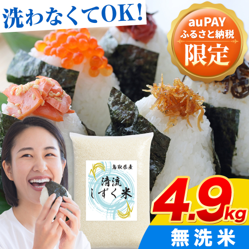 【au PAY ふるさと納税限定】鳥取 ふるさと 無洗米 4.9kg 清流しずく米《11月中旬-12月末頃出荷》鳥取県 八頭町 米 お米 ご飯 八頭 ふるさと無洗米 生活応援 定期便 ブレンド米 複数原料米 訳あり 小分け kome ご飯 2384008 - 鳥取県八頭町