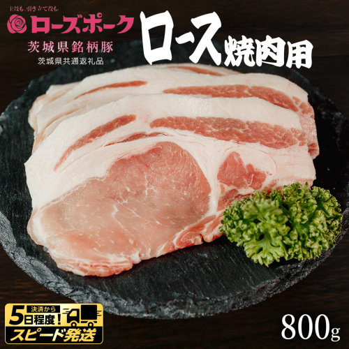【 スピード 発送 】【 ローズポーク 】 豚ロース焼肉用 800g (茨城県共通返礼品) 肉 お肉 豚肉 国産豚 国産 銘柄豚 ブランド豚 豚ロース 焼肉 BBQ 冷凍肉 [AI21-NT] 2384012 - 茨城県つくばみらい市