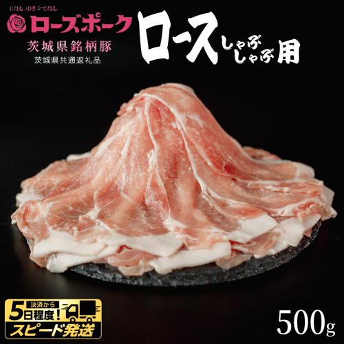 【 スピード 発送 】【 ローズポーク 】 豚ロースしゃぶしゃぶ用 500g (茨城県共通返礼品) 肉 お肉 豚肉 国産豚 国産 銘柄豚 ブランド豚 豚ロース 鍋 しゃぶしゃぶ   [AI22-NT] 2384013 - 茨城県つくばみらい市