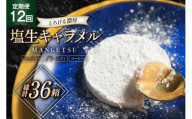 キャラメル スイーツ MANGETSU   キャラメロ グリーンティー コーヒー 85g 3種 各1個 計3個 12回 定期便 総計 36箱 [firando 長崎県 平戸市 hr42bgy420151] とろける 抹茶 コーヒー 満月