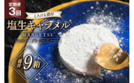 キャラメル スイーツ MANGETSU キャラメロ グリーンティー コーヒー 85g 3種 各1個 計3個 3回 定期便 総計 9箱 [firando 長崎県 平戸市 hr42bgy420158] とろける 抹茶 コーヒー 満月