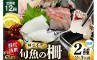 刺身 鮮魚 旬魚 の柵2種 セット （刺身1種& イカ 1種）（2〜3人前 12回 定期便 [舘浦漁業 長崎県 平戸市 hr42bgy420046] おつまみ 柵 冷蔵 新鮮 海鮮 盛り合わせ 旬 切るだけ 真空パック