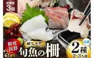 刺身 鮮魚 旬魚 の柵2種 セット (刺身1種& イカ 1種)(2〜3人前) 3回 定期便 [舘浦漁業 長崎県 平戸市 hr42bgy420057] おつまみ 柵 冷蔵 新鮮 海鮮 盛り合わせ 旬 切るだけ 真空パック