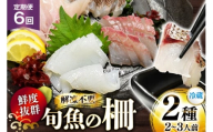 刺身 鮮魚 旬魚 の柵2種 セット （刺身1種& イカ 1種）（2〜3人前） 6回 定期便 [舘浦漁業 長崎県 平戸市 hr42bgy420058] おつまみ 柵 冷蔵 新鮮 海鮮 盛り合わせ 旬 切るだけ 真空パック