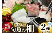 刺身 鮮魚 旬魚 の柵2種 セット (刺身1種& イカ 1種)(2〜3人前) [舘浦漁業 長崎県 平戸市 hr42bgy420139] おつまみ 柵 冷蔵 新鮮 海鮮 盛り合わせ 旬 切るだけ 真空パック