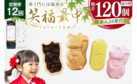 和菓子 もなか 笑福 最中 手作り キット 10個分 12回 定期便 計120個分 [牛蒡餅本舗熊屋 長崎県 平戸市 hr42bgy420449] お菓子 おやつ おかし スイーツ デザート 老舗 和菓子 菓子 あんこ 餡
