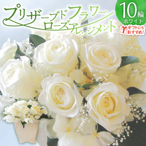 【日付指定可能】 プリザーブドフラワーローズ１０輪 プリザーブドフラワーアレンジメント ホワイト 薔薇 バラ ギフト プレゼント ラッピング 産地直送 インテリア お花 フラワー H193-026 2384373 - 愛知県碧南市