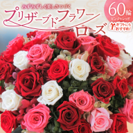 【日付指定可能】プリザーブドフラワーローズ（ピンク＆レッド）60輪のアレンジメント 薔薇 バラ ギフト プレゼント ラッピング 産地直送 インテリア お花 フラワー ボリューム満点 H193-020