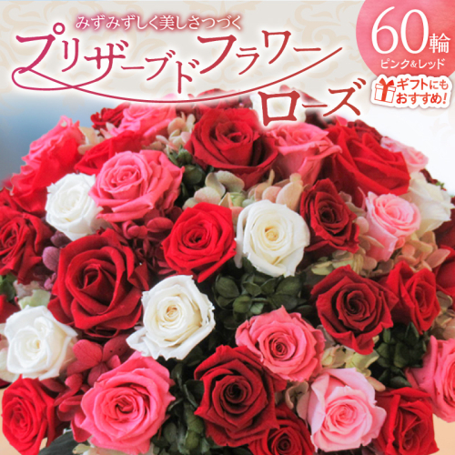 【日付指定可能】プリザーブドフラワーローズ（ピンク＆レッド）60輪のアレンジメント 薔薇 バラ ギフト プレゼント ラッピング 産地直送 インテリア お花 フラワー ボリューム満点 H193-020 2384379 - 愛知県碧南市