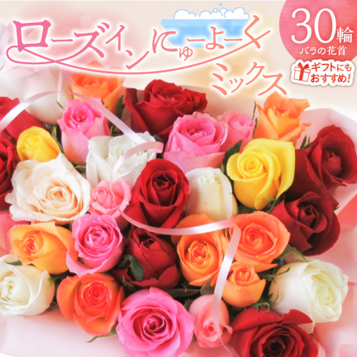 〈日付指定も可能〉 観賞はもちろん！バラ風呂やフラワーシャワーに！ ローズインにゅーよーくミックス３０輪 バラ３０輪詰め合わせ 風呂 薔薇 ローズ ギフト プレゼント ラッピング インテリア お花 フラワー H193-021 2384380 - 愛知県碧南市