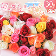 〈日付指定も可能〉 観賞はもちろん！バラ風呂やフラワーシャワーに！ ローズインにゅーよーくミックス３０輪 バラ３０輪詰め合わせ 風呂 薔薇 ローズ ギフト プレゼント ラッピング インテリア お花 フラワー H193-021