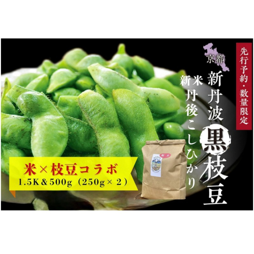 【先行予約】新丹波黒枝豆（250g×2パック）＆令和8年産 特別栽培米 丹後こしひかり 白米1.5kgセット
 2384384 - 京都府京丹後市