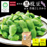 【先行予約】新丹波黒枝豆（250g×2パック）＆令和8年産 特別栽培米 丹後こしひかり 白米1.5kgセット