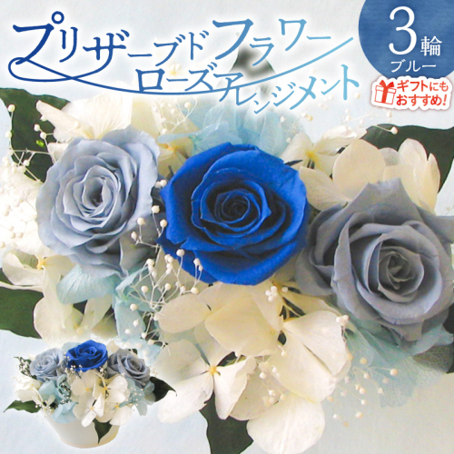 【日付指定可能】 プリザーブドフラワーローズ３輪アレンジメント ブルー 薔薇 バラ ギフト プレゼント ラッピング 産地直送 インテリア お花 フラワー H193-024 2384387 - 愛知県碧南市