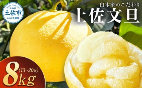 【先行予約】白木家のこだわり土佐文旦 露地 文旦 約8kg 13～20個入り L～3Lサイズ混合 〈2027年2月上旬～3月上旬頃発送〉ぶんたん ブンタン 果物 柑橘 フルーツ お取り寄せ 特産品 美味しい 高知県産 ギフト【株式会社とさもん】[BQAE041] 2384390 - 高知県土佐市