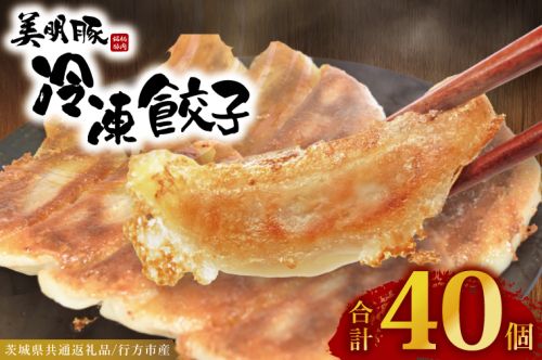冷凍餃子 40個（20個×2袋） ブランド豚 「 美明豚 」（茨城県共通返礼品・行方市産） 小分け 餃子 ギョウザ 国産 豚肉 野菜 惣菜 おかず フライパン 2384460 - 茨城県大洗町